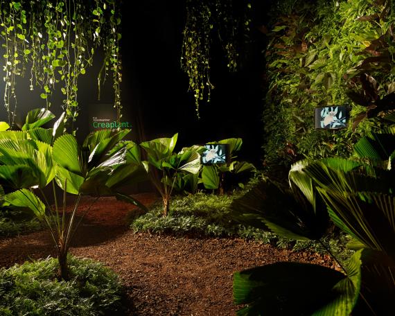 Designers’ Saturday 2010 Dschungel von Creaplant mit Fächerpalmen und vertikalem Garten Videoinstallation von Susi Jirkuff 