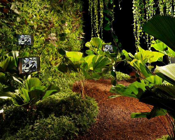 Designers’ Saturday 2010 Dschungel von Creaplant mit Fächerpalmen und vertikalem Garten Videoinstallation von Susi Jirkuff 