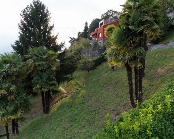 Umbau Ferienhaus Casa Sogno mio Locarno in oxidrot KEIM Farbe gestrichen und mit neuer Gaube auf Steinsockel von Palmen umgeben 