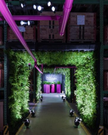 Designers’ Saturday 2014 plant tunnel with vertical garden system and coloured plastic tubes in telemagenta 