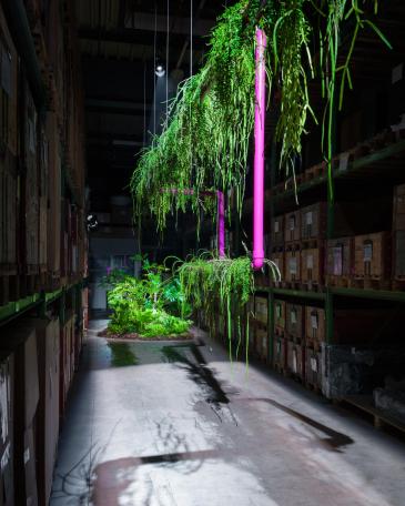Designers’ Saturday 2014 coloured pipe system as a sculpture with hanging plants in front of plant island in the high-rack storage of Girsberger