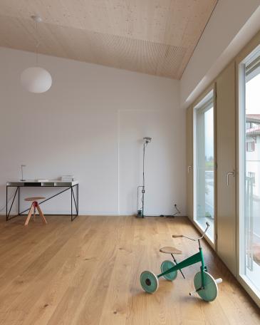 House Wangen_11_Music room with ceiling featuring wood panelling, acoustic perforation and Glo-Ball light by Flos
