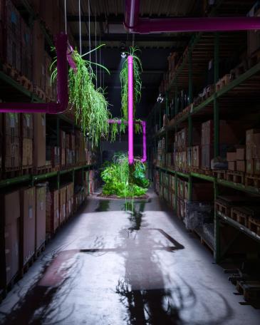 Designers’ Saturday 2014 coloured pipe system as a sculpture with hanging plants in the high-rack storage of Girsberger